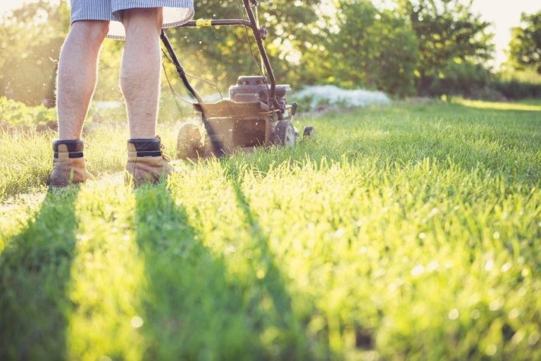 craftsman lawn mower instruction manual